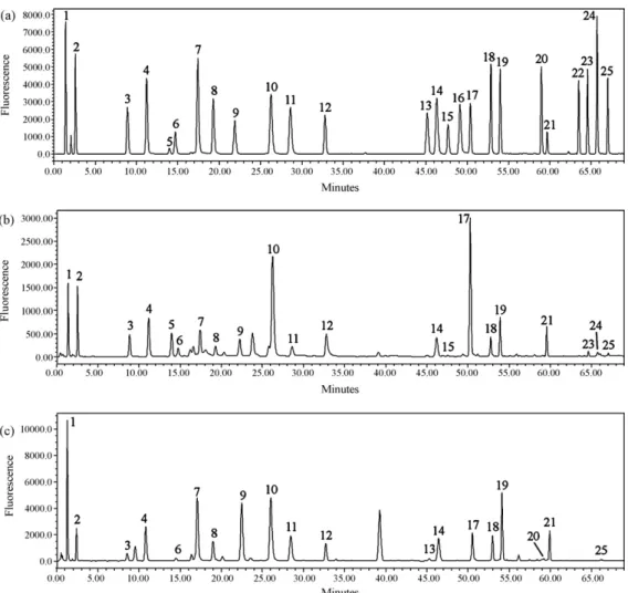 Fig. 1. Typical chromatogram profile of amino acids and biogenic amines in: (a) 20 mg/l standard mixture, (b) H5 honey and (c) W4 wine