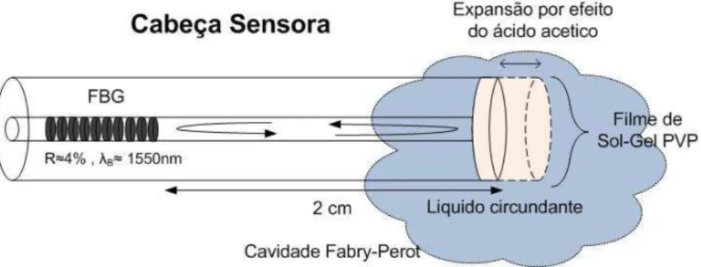 Figura 3.1 Cabeça sensora para detecção de espécies carboxílicas, formada por uma cavidade FabryRPerot, entre o FBG e a ponta da  fibra