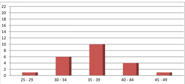 Figura 12 - Gráfico com as Habilitações Literárias dos Pais 