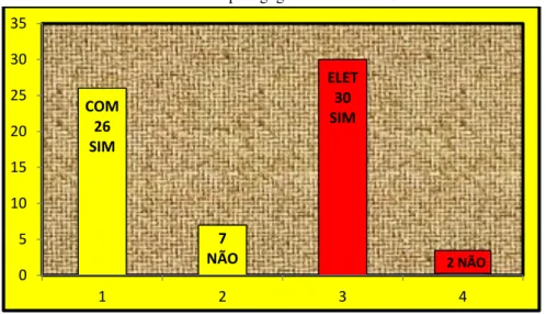 Gráfico 04: Formato pedagógico da temática Ginástica. 