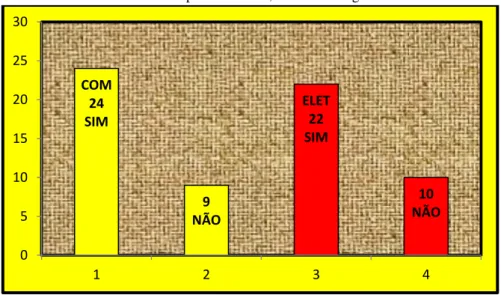 Gráfico 06: Aspectos sociais, afetivos e cognitivos. 