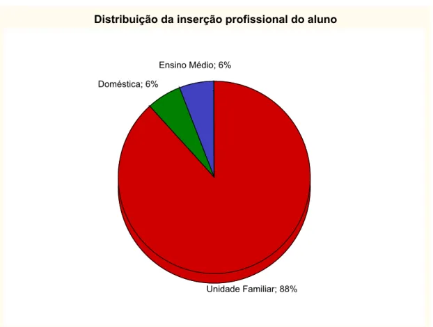 Gráfico 1 –  Distribuição da Inserção profissional dos alunos entrevistados
