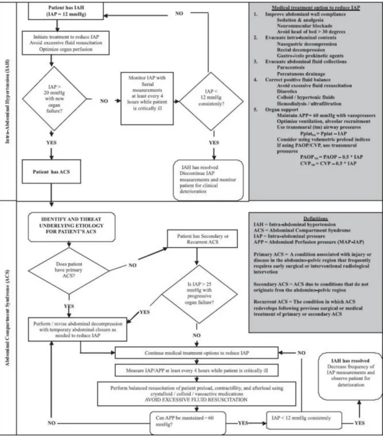 Figura  3  -  Algoritmo  de  tratamento  para  Hipertensão  Intra-Abdominal  (HIA)  e  Síndrome  Compartimental  Abdominal  (adaptado  de  Intensive Care Med 2006;32:1722–32 &amp; 2007;33:951-62) 