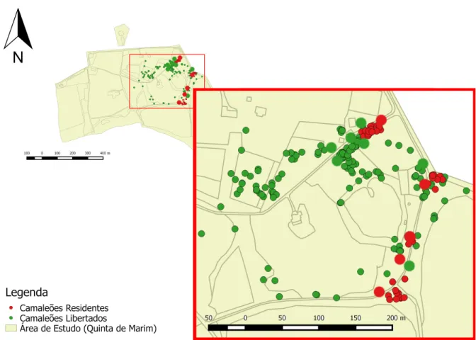 Figura 3.4 - Mapa da área de estudo com as localizações registadas durante o estudo de rádio-telemetria