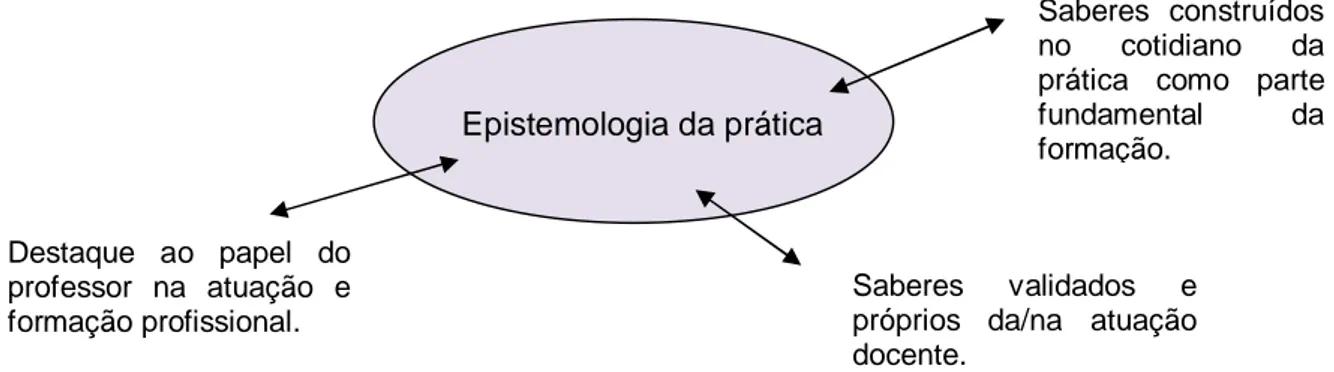 FIGURA 1: Novo Campo de Conhecimento Docente 