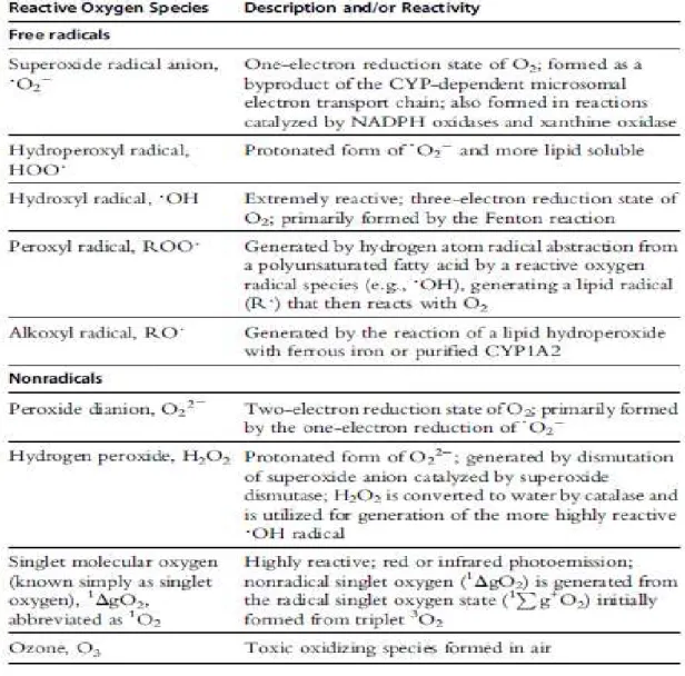 Tabela 1. Exemplos de Espécies reativas do oxigénio - Radicais livres e não radical (Hrycay &amp; Bandiera,  2015)