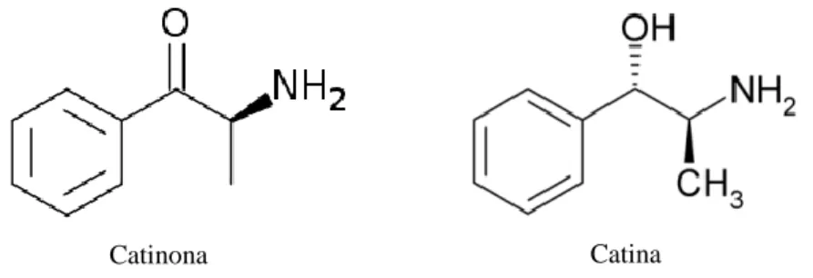 Figura 1.3 – Estrutura química da catinona e catina na forma de base livre.