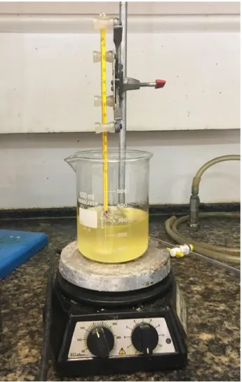 Figura 7: Processo de secagem do biodiesel de soja