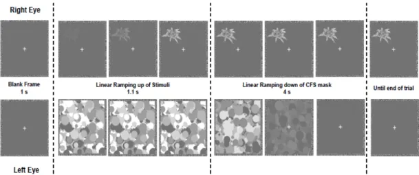 Figure 1:  Schematic  example of a trial. The stimuli  were gradually introduced to the right  eye,  while CFS masks  (Mondrian-like pattern blinking at 10 Hz) were presented to the left eye