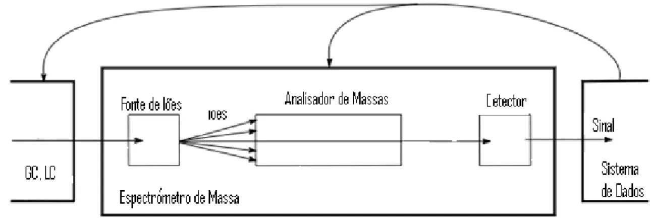 Figura 11 - Diagrama de funcionamento de um espectrómetro de massa (adaptado  de (66))