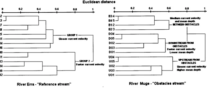 Figure  2.  Hierarchical classification  of  sampled sites on  both  studied  rivers,  based  on  their abiotic  and  biophysic  characteristics.