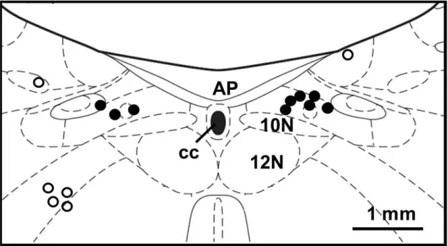 Figura 2: Representação esquemática de um corte coronal do tronco encefálico mostrando  círculos  fechados que representam os centros das injeções unilaterais  no NTS de 9 ratos  (Bregma  -13,68  mm,  de  acordo  com  Paxinos  e  Watson,  2004)  e  círculo