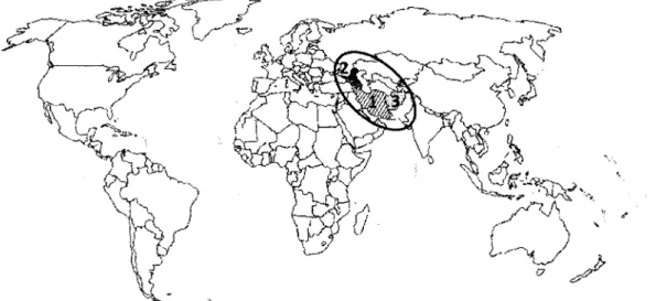 Figura  I  - Centros  de  origem  do espinafre:  I  -  Irão; 2 - Cáucaso;  3  -Afeganistão