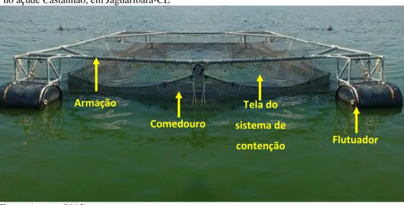 Figura 9  –  Componentes estruturais dos tanques-rede utilizados na Mirante Pescados,  instalada  no açude Castanhão, em Jaguaribara-CE 