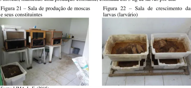 Figura 21  –  Sala de produção de moscas  e seus constituintes 