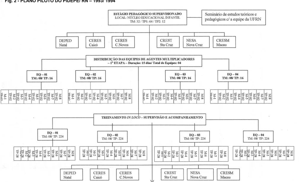 Fig. 2 - PLANO PILOTO DO PIDEPE/ RN – 1993/ 1994