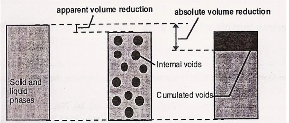 Fig. 8:Ilustração da definição de volume aparente e absoluto  [Tazawa 1999]. 