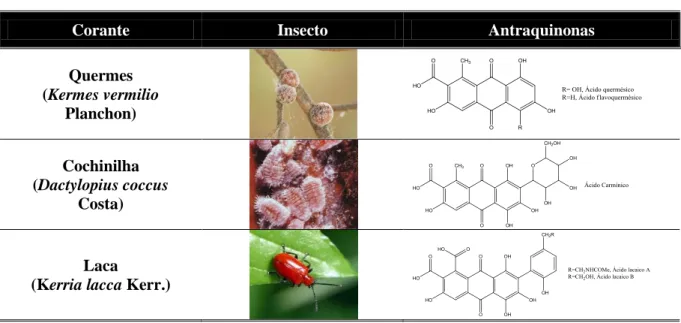 Tabela 1: Estrutura química de derivados de antraquinonas vermelhas de origem animal (adaptado de  (11))