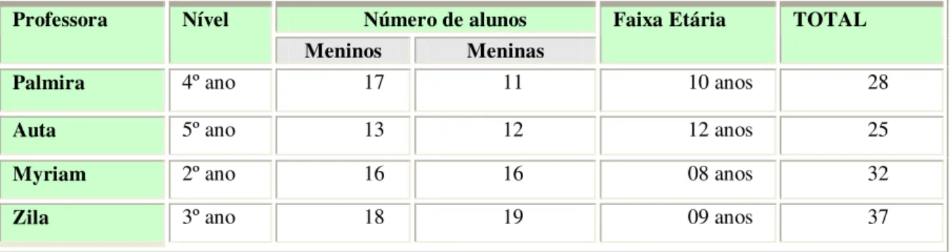 Tabela 3 – composição das turmas no ano de 2008 