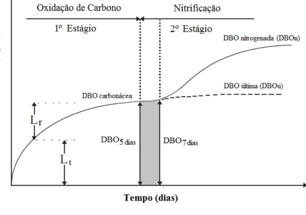Figura 2.2: Evolução de DBO em função do tempo. 