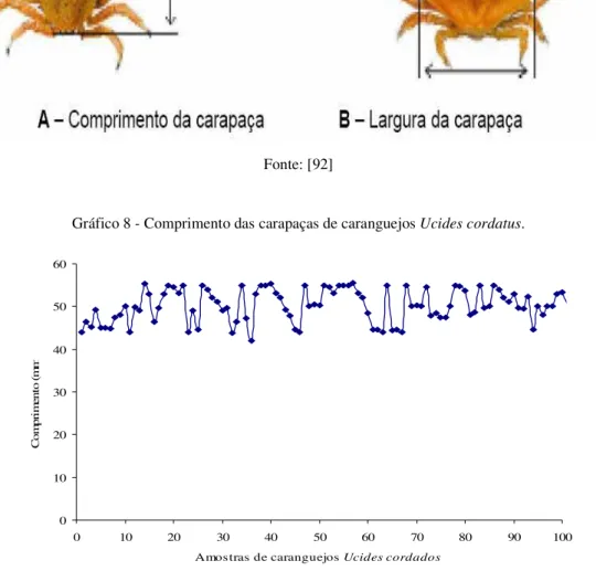 Figura 5a - Medição de comprimentos e b - larguras das carapaças dos caranguejos Ucides cordatus