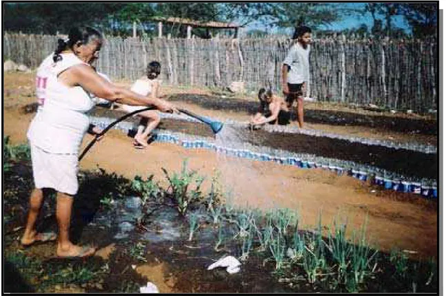 Figura 05: Dona Nazaré (Moradora, avó da aluna Naiara) em ajuda na prática diária da horta  escolar – ago