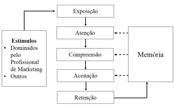 Figura 5: Os estágios do processamento de informação 