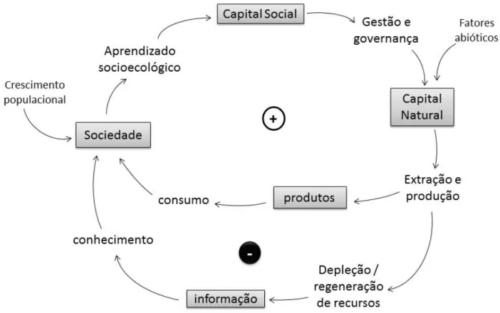 Figura 1.1: Modelo do Sistema alimentar Pré-industrial. Energia do Sol (fatores abióticos) controlando  produtividade