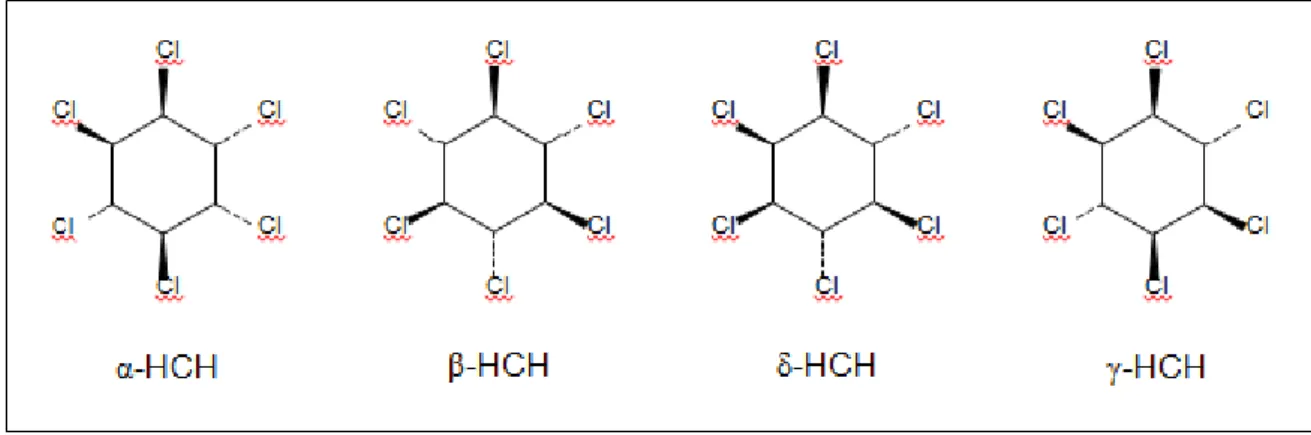 Figura 8: Fórmulas Estruturais dos isômeros do hexaclorociclohexano HCH. 