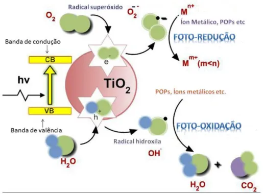 Figura 9: Mecânismo fotocatalítico de degradação napresença de radiação UV. 