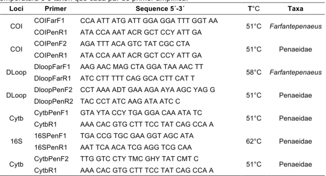 Tabela  1.3:  Listagem  dos  pares  de  primer,  genes  de  amplificados,  nome  dos  primers,  temperatura e o táxon que cada par de primer amplifica