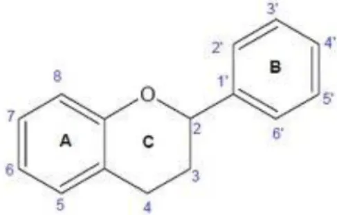 Figura 1.1: Estrutura parental de grande parte dos compostos designados  flavonóides,  que representa um flavano  