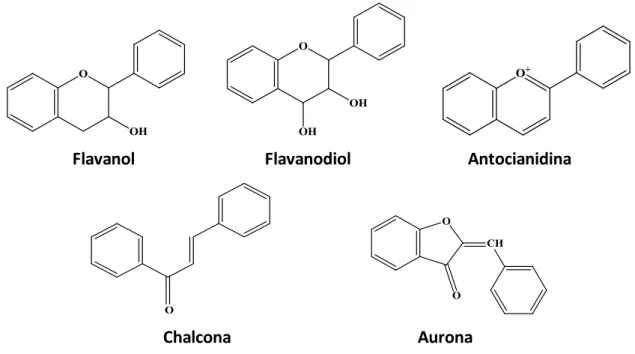Figura 1.2:  Estruturas básicas dos diferentes tipos de flavonóides 