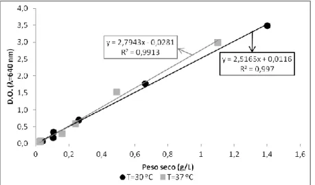 Figura 3.2 – Rectas de calibração D.O. vs p.s. obtidas para o crescimento das células de E