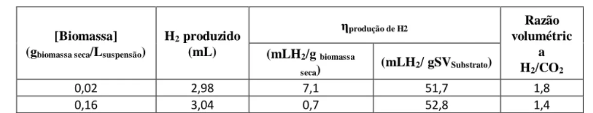 Tabela 3.2 – Rendimentos de produção de H 2  (η) obtidos, tendo em conta as  concentrações de biomassa inoculadas e o grau de pureza da fase gasosa produzida, em 