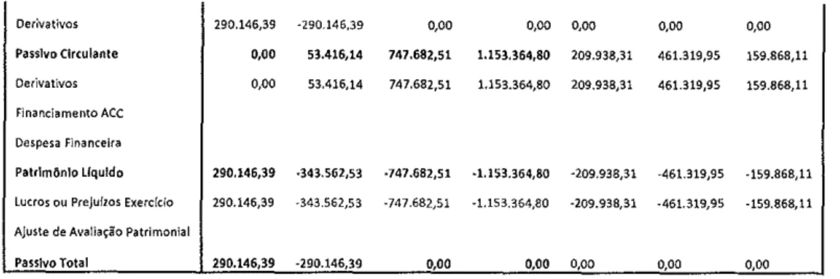 Tabela 14: Balancete da Relação de Hedge 