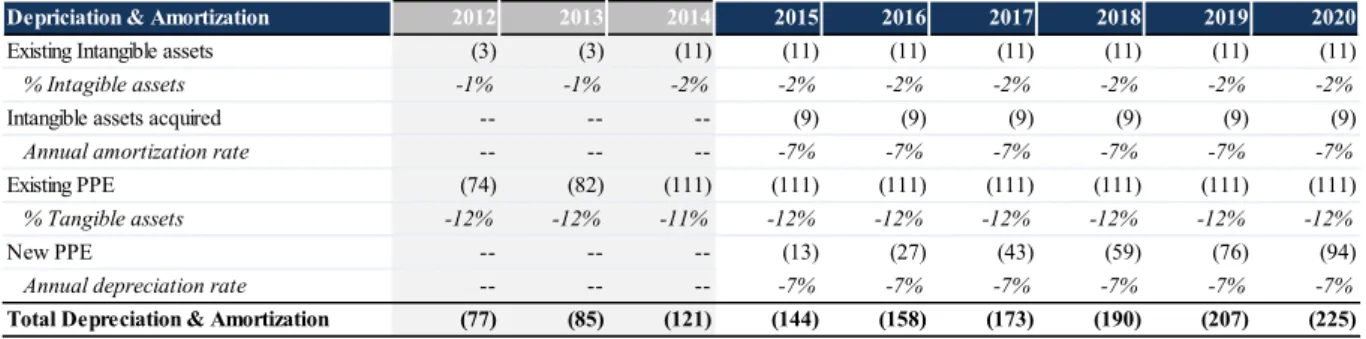 Table 13-Depreciation &amp; Amortization Projections