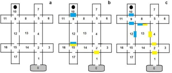 Figura  1.  Esquema  do  labirinto  utilizado  nos  experimentos  com  a  numeração  dos  compartimentos  usada  para  descrever  a  sequência  da  localização  das  formigas