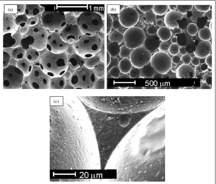 Figura 2.11 – Espumas cerâmicas obtidas pelo método direct foaming: (a) estrutura  com células abertas; (b) estrutura com células fechadas; (c) detalhe do filamento sem vazio 