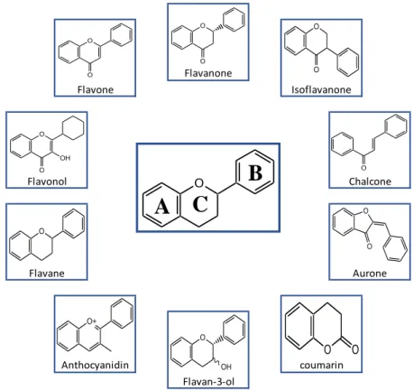 Figure 1 - Basic flavonoid structure. 