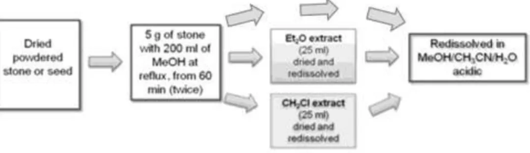 Figure 3 - Extraction with MeOH reflux at 65ºC adapted from López et al. (2008).  