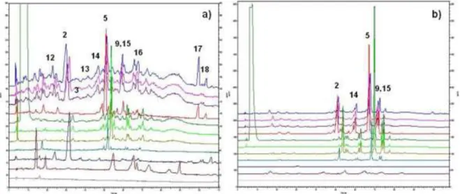 Figure  10 -  Chromatographic  profiles  of  olive stone  extracts  obtained  by  different  procedures