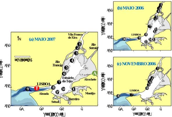 Figura 3.2 – Mapa do estuário do Tejo, com a localização das estações de  amostragem ao longo do estuário (círculos pretos), da estação fixa  do estuário inferior (T – círculo vermelho) e da estação no estuário  superior/zona intertidal (A – círculo verde)