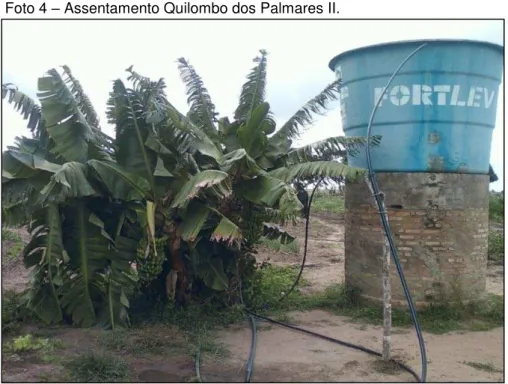 Foto 4  – Assentamento Quilombo dos Palmares II.