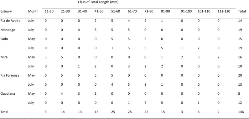Table 1 Sample size of Diplodus vulgaris juveniles by Estuary, Month and Class of Total Length (mm) used in this study
