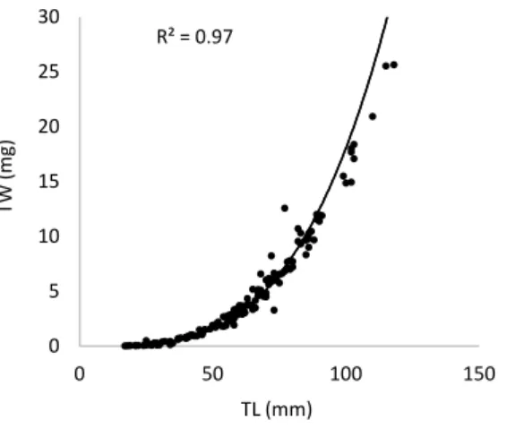 Fig. 3. Regression between total wet weight (TW), in milligrams, and total length (TL), in millimeters, of juvenile Diplodus vulgaris.