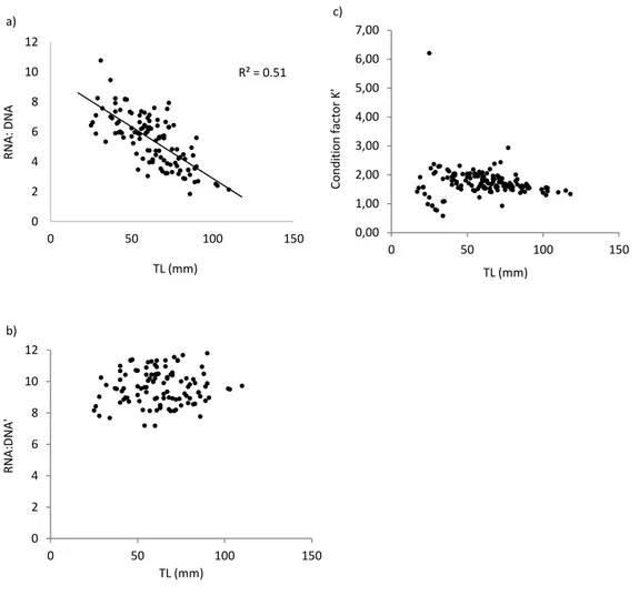 Fig.  6.  Relationships  between  biochemical  and  morphometric  condition  indices,  RNA:DNA  (a),  RNA:DNA'  (b),  which  is  RNA:DNA  ratio corrected for length bias, and condition factor K' (c), with total length (TL) (in millimeters) in juveniles of 