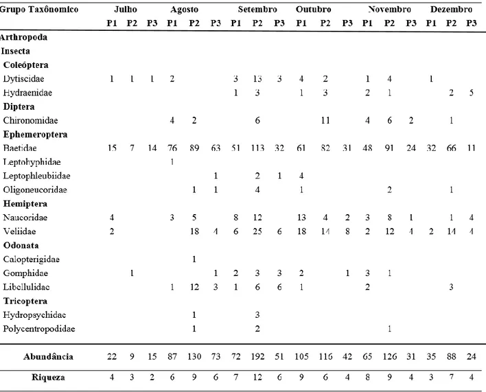 Tabela 1 –  Abundância e Riqueza de macroinvertebrados bentônicos encontrada na Cachoeira Itagyba – Delfim Moreira – MG