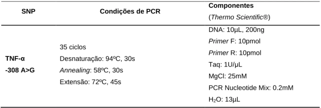 Tabela 5 – Condições de amplificação e componentes utilizados na reacção de PCR.