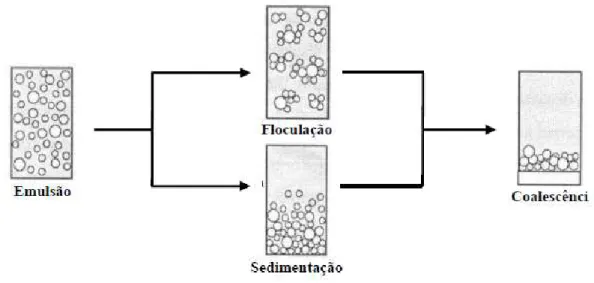 Figura 6. Mecanismo de separação de emulsões, adaptado de Aske et al., 2002. 